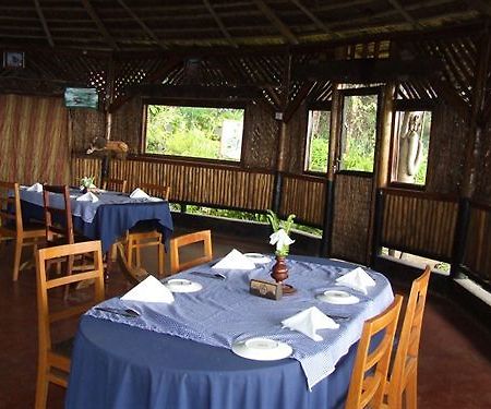 Mount Kilimanjaro View Lodge Moshi Extérieur photo