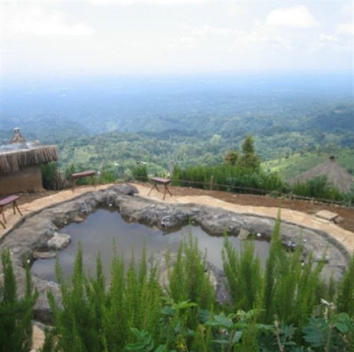 Mount Kilimanjaro View Lodge Moshi Extérieur photo
