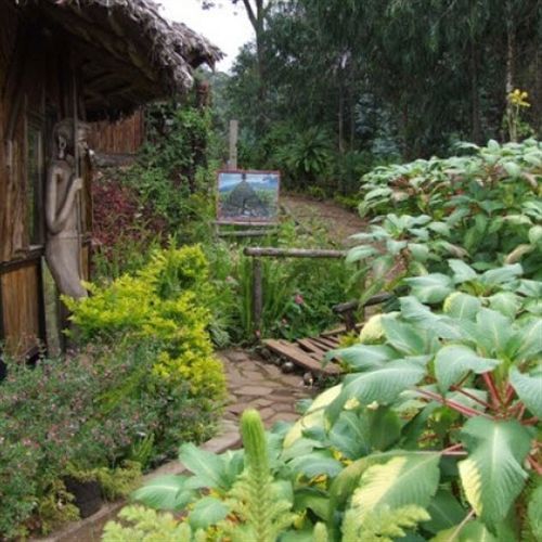 Mount Kilimanjaro View Lodge Moshi Extérieur photo