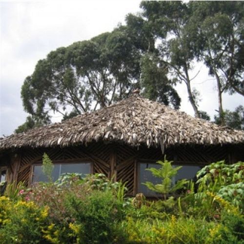 Mount Kilimanjaro View Lodge Moshi Extérieur photo